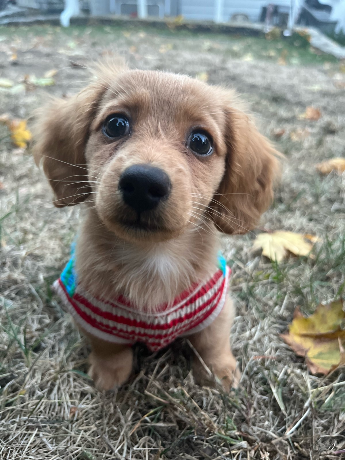 Delaney · Fenway
