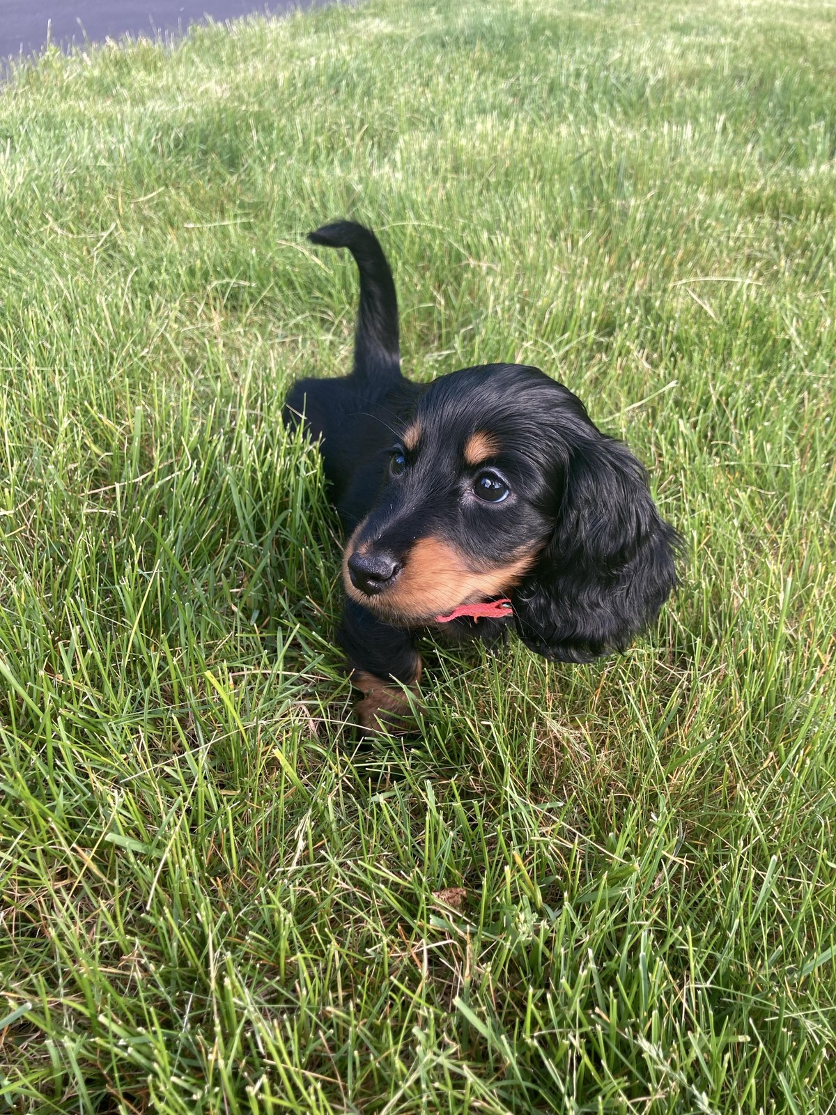 Sarah · Lulu